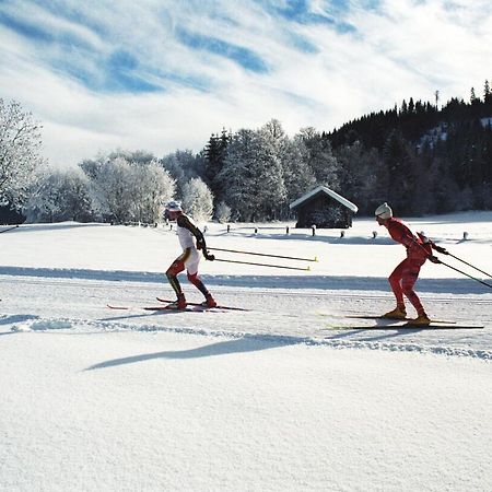 Alpine Cottage Salzburg Мария Алм ам Щайнернен Мер Екстериор снимка